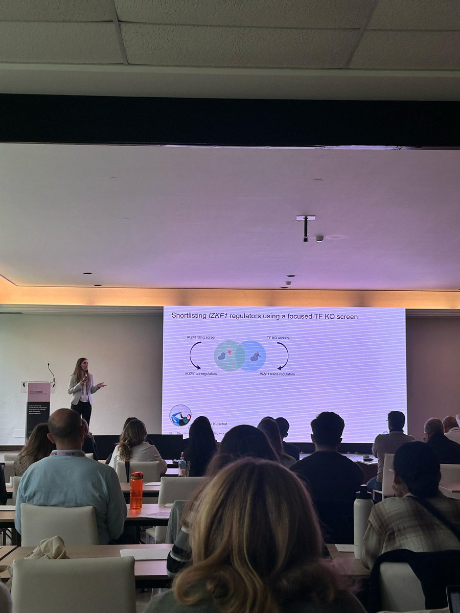 Davide Seruggia tweet media