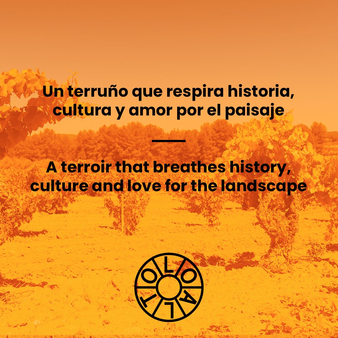 _loalto_'s tweet photo. Un terruño que respira historia, cultura y amor por el paisaje _ A terroir that breathes history, culture and love for the landscape.
#LoAlto · #VinosLoAlto · #Bobal · #Garnacha · #Tardana
> https://t.co/CXd8AX7mLC https://t.co/njyv8qyP0y