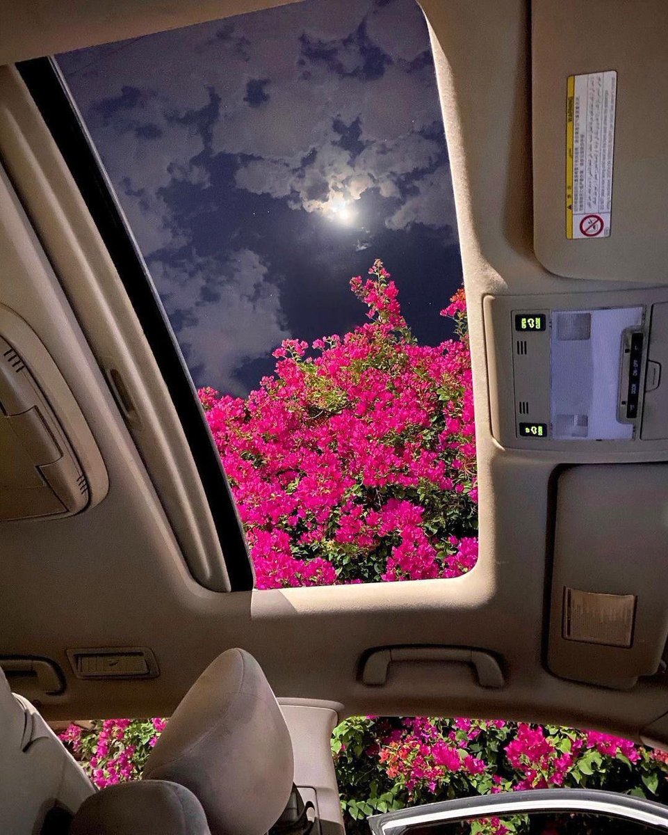 Durdu durdu turnayı gözünden vurdu dedirtecek bir baht Ya Rabbi