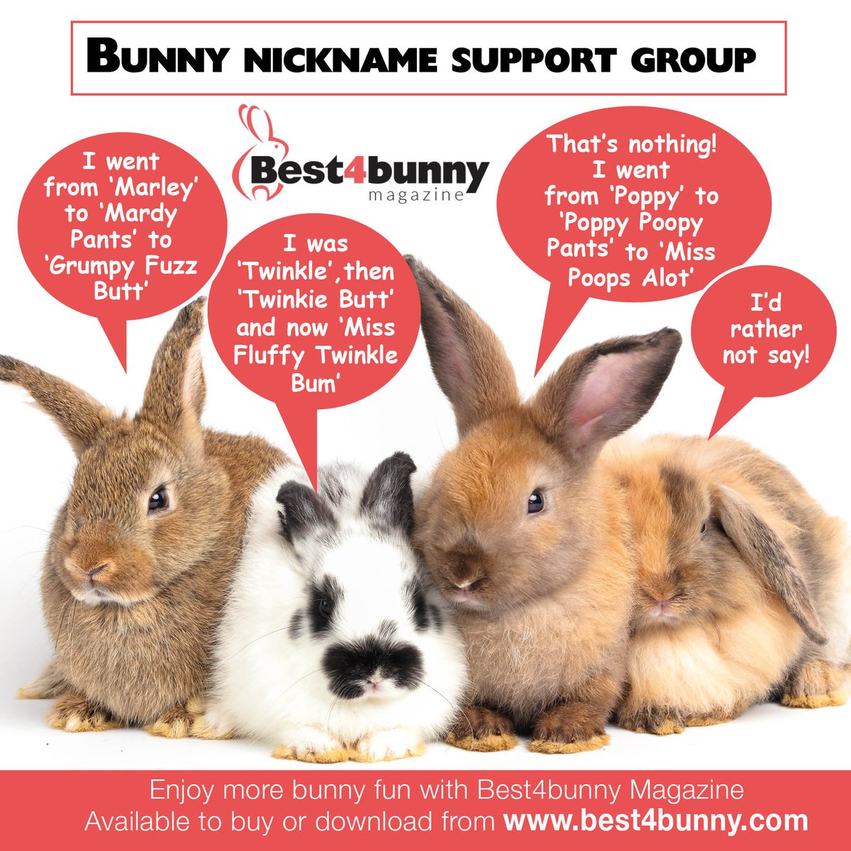 Bunny nicknames just come naturally to suit our bunnies personalities. Us bunny parents just can't help it! 😅
All Best4bunny magazines are available to buy or download here... best4bunny.com/magazines/