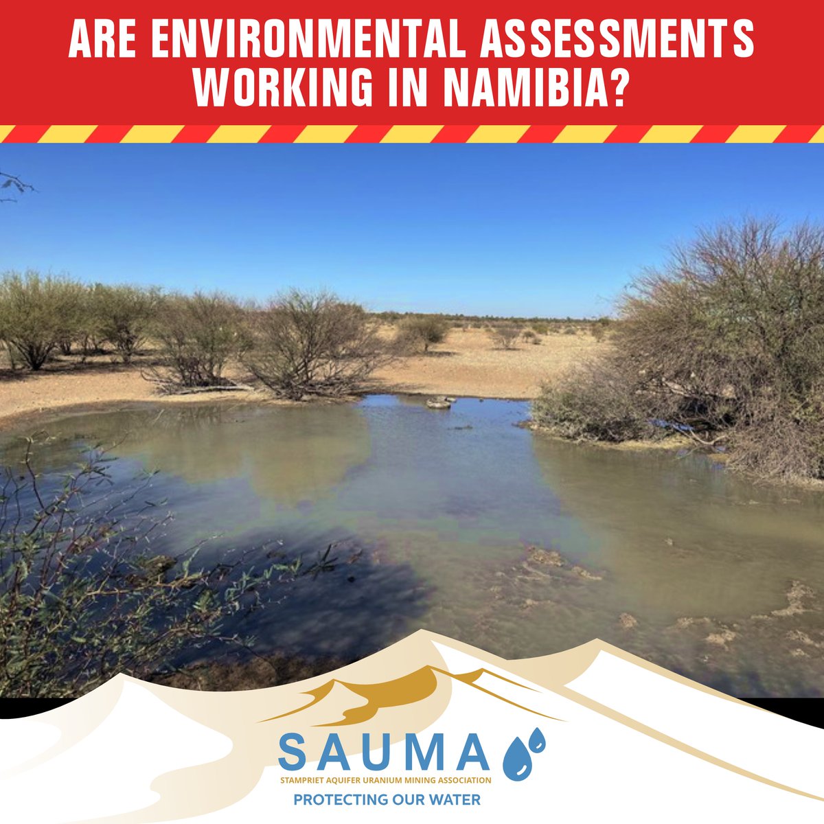 SAUMA Namibia tweet media