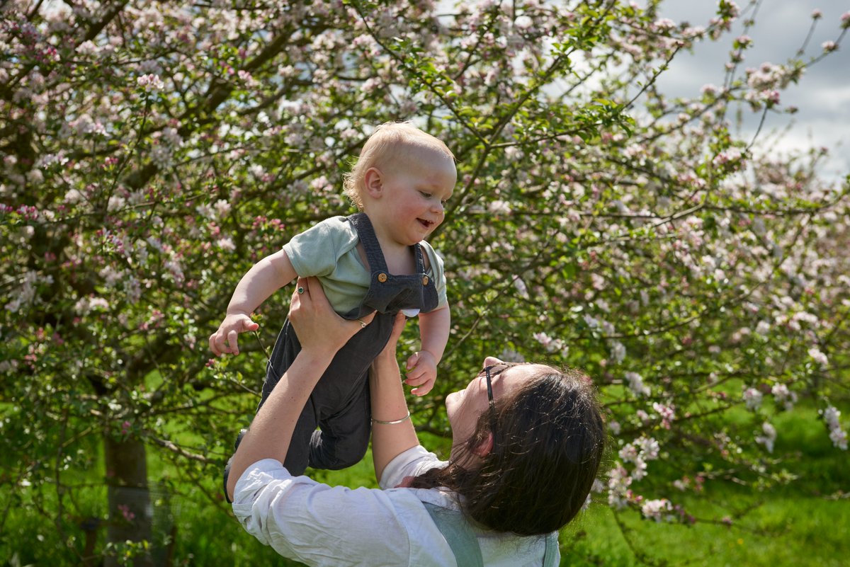 As Cotehele bursts into bloom this spring, blossom season is almost upon us!

Find out more about the Festival of Blossom at Cotehele here: bit.ly/4hF4qaB

📸©National Trust Images/Trevor Ray Hart