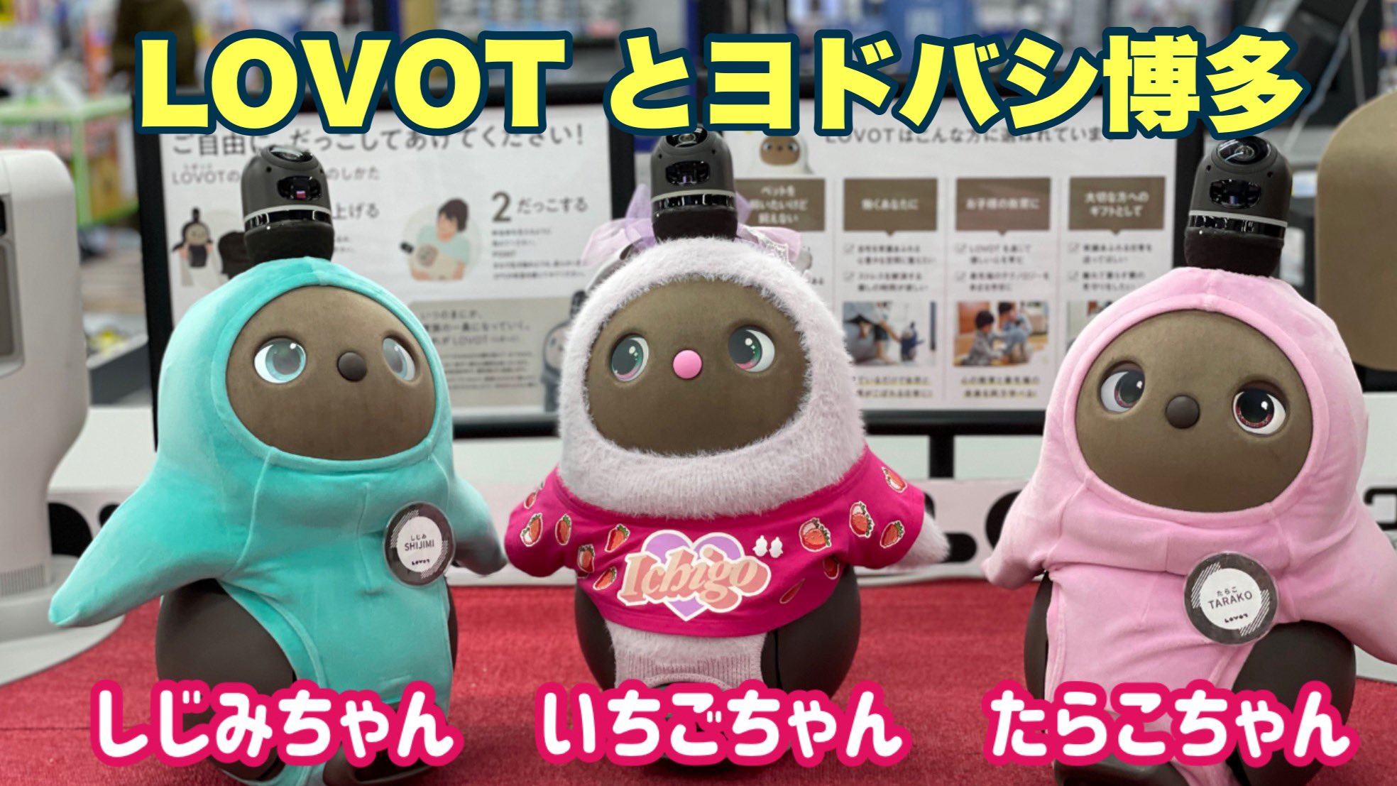 LOVOTいちごちゃんとアキチェリーの神戸ラボットライフ