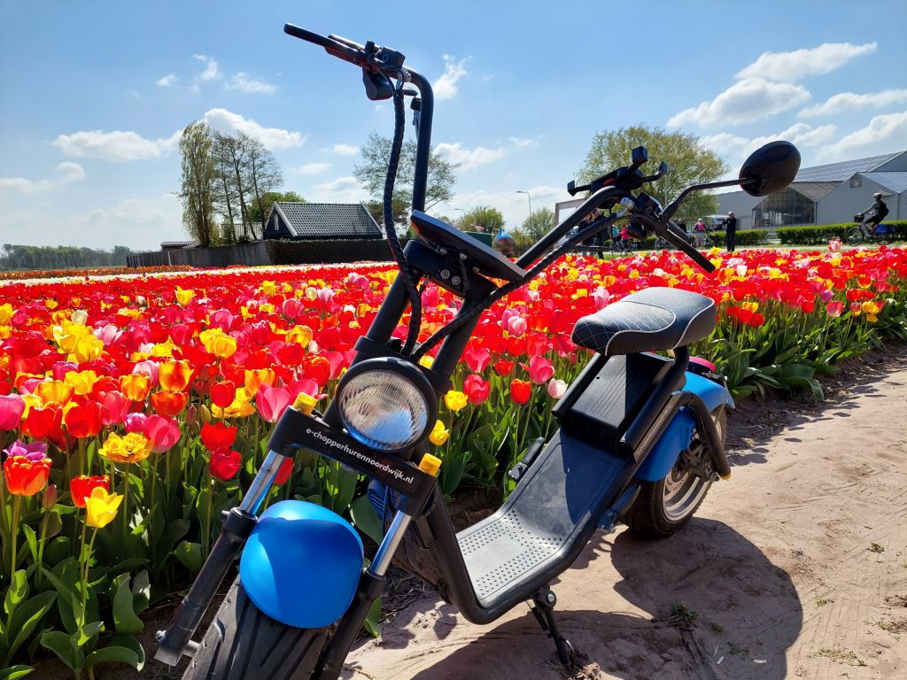 noordwijkevents's tweet photo. 🌷Tulip Allert!🌷Het bloeiseizoen begint weer!
De #Bollenstreek laat zich van 20 maart tot medio mei weer van haar mooiste kant laat zien.
Bewonder de kleurrijke narcissen, hyacinten en tulpenvelden op onze (tevens kleurrijke) E-choppers https://t.co/QkTTLY50ZC @VisitNoordwijk https://t.co/ItZJ7vkTyD