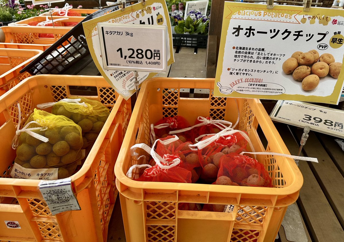 ポテチのポテトが育てられる！？🥔 #ポテトバッグ は、袋のまま