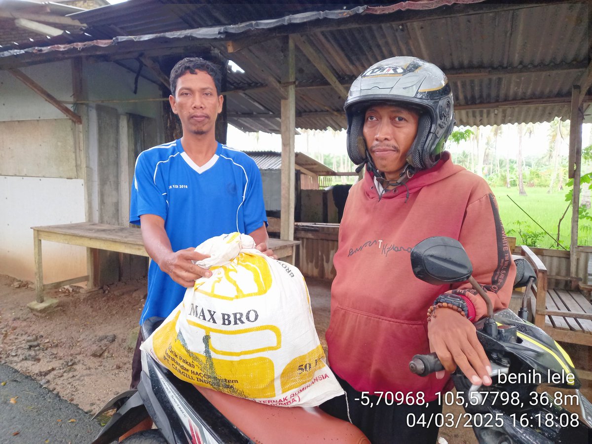 eightinalamsel8's tweet photo. Selasa, 04/03/25. Eightina Rosintan.  Luhkan Lampung Selatan. Pendataan #panen benih lele 5-7 cm, 2000 ekor , UPR Yatiman di Sidomakmur
 #GiatLuhkanSatminkalBRPPUPP #luhlapor #IpkaniLampung #puslatluhkp  #luhkan_brppup https://t.co/HL02rcSAc1