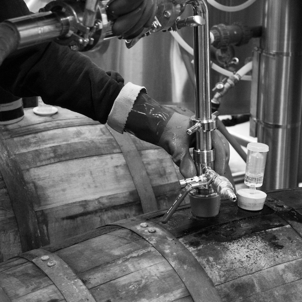 SoMe Brewing Company tweet media
