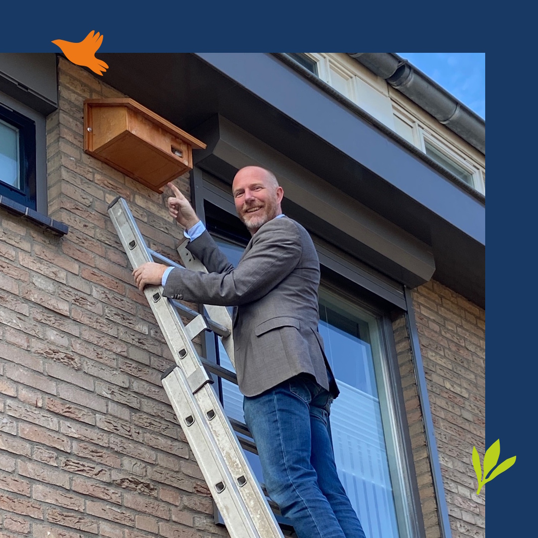 Hoe gaaf! De gierzwaluwkasten worden opgehangen, die wij vorig jaar met Westlandse kinderen in elkaar gezet hebben. Een geweldige samenwerking met <a href="/GemWestland/">Gemeente Westland</a>, waarin educatie en natuurbescherming hand in hand gaan. Wethouder <a href="/MichielFerwerda/">Michiel Ferwerda</a> opende op grote hoogte