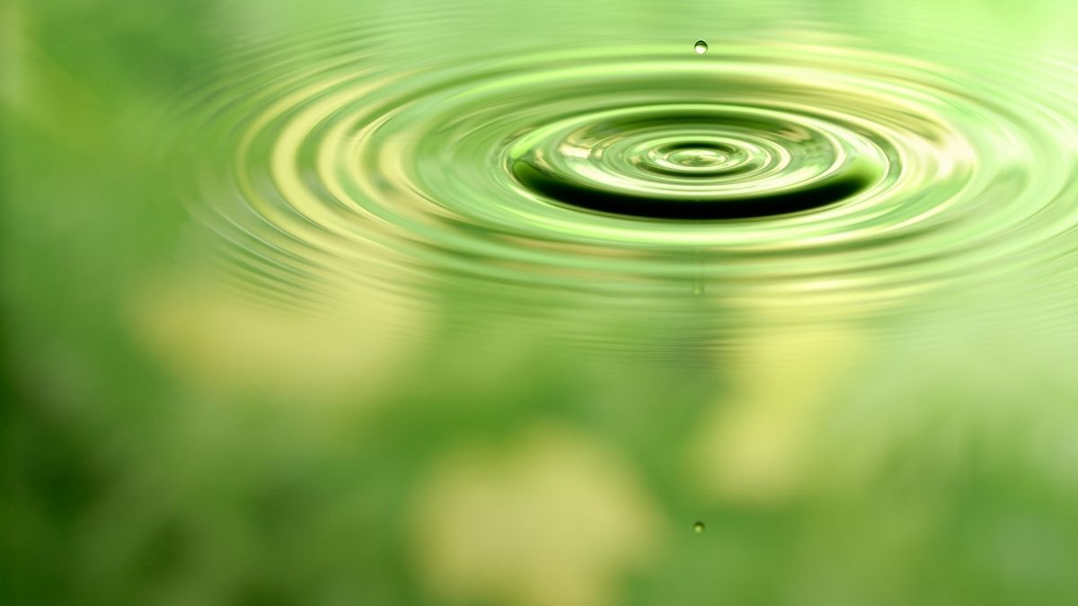 Do something today that your future self will thank you for; don’t stop when you’re tired, stop when you’re done.