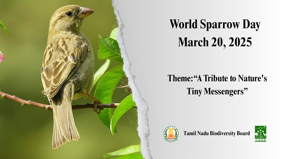 Tamil Nadu Biodiversity Board tweet media