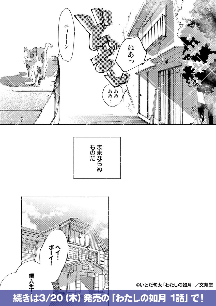 (4/4) 