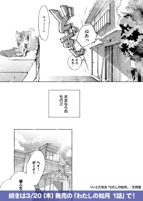 (4/4) 