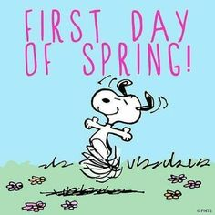 pkbuhidar's tweet image. Happy First Day Of Spring!! 😀🦋🌳💐🪻🌸🌼🌷🌹🌻🌺#FirstDayOfSpring #SpringHasArrived
