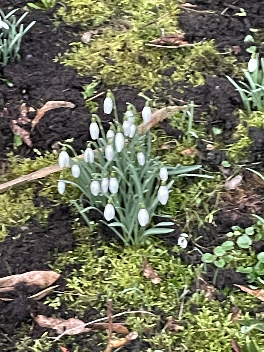 Was für ein zeitlos richtiger Gedanke, ein Zitat von Golda Meir: "Moderne Geschichte sollte man nur mit dem Bleistift schreiben."  Ich habe es im Profil der klugen <a href="/naehdrescherin/">zora 🎗️🦊🌞🐈‍⬛🦌🦅</a> gefunden