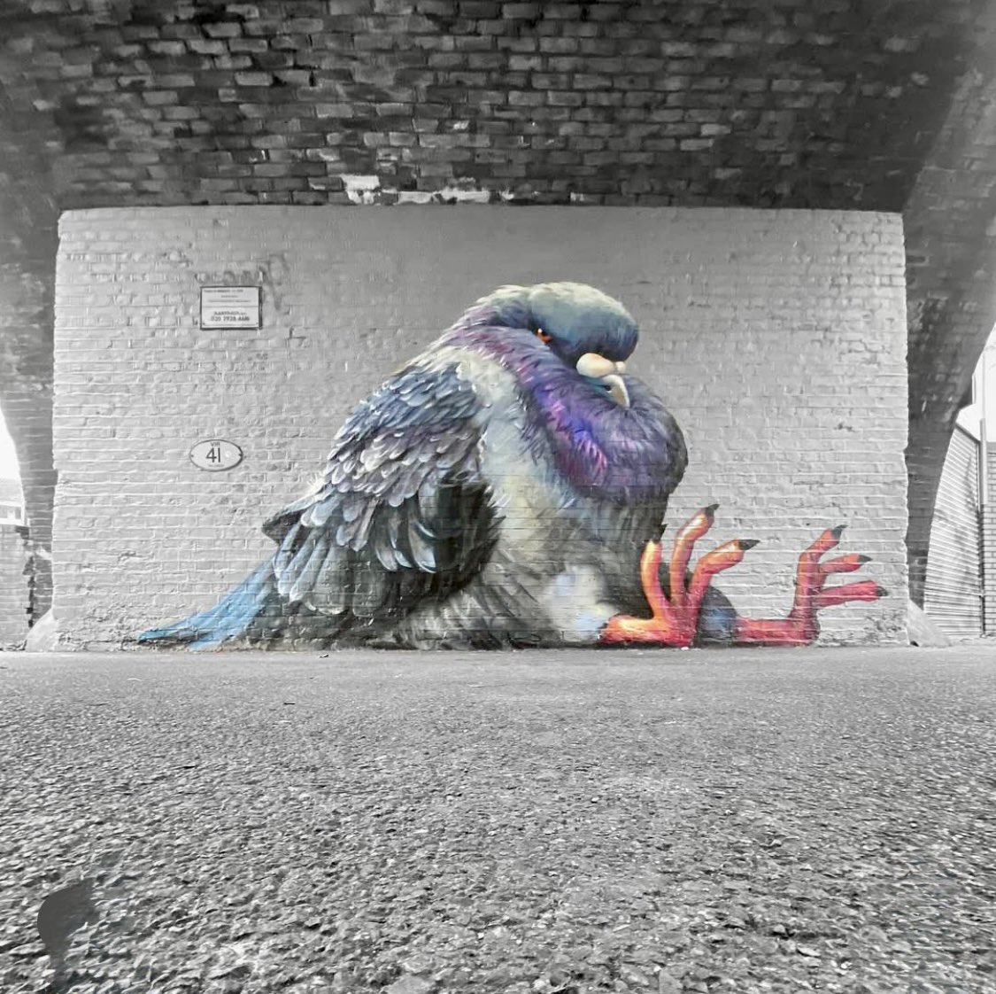 By Irony in Penge, London.
#StreetArt #Irony #London #pigeon