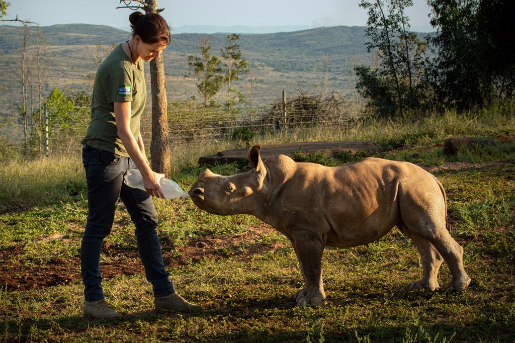Completely lost in this moment. 
And something I love to go back to when it pops up in my memory banks, because the filming of 'STROOP - journey into the rhino horn war' brought with it many different emotions –– sadness, disbelief, fear, anger –– to name a few. But then there