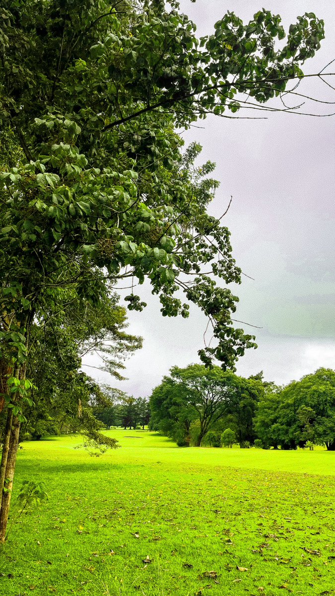 A few Wallpapers from today’s chilly round 🏌️‍♂️⛳️ at Limuru