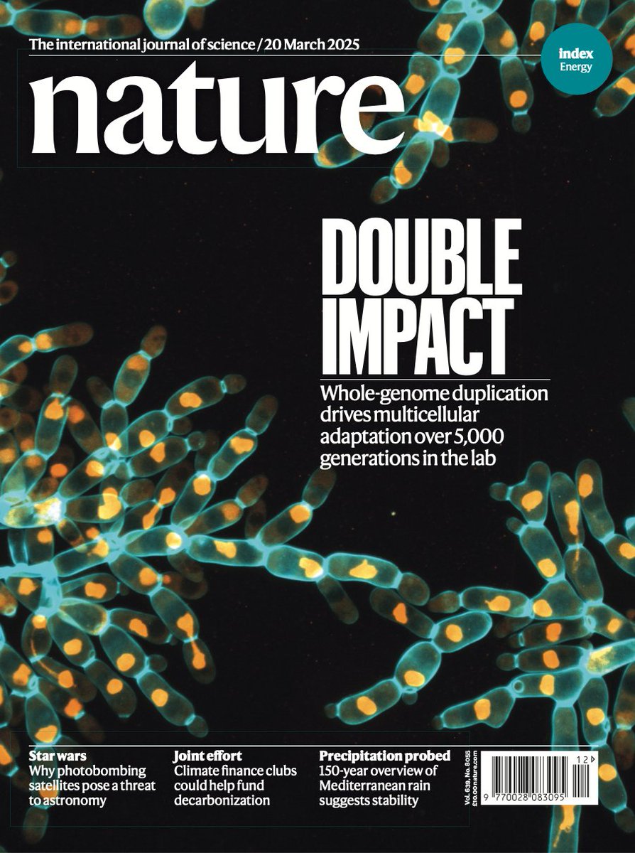 Ángel Cabrera (@cabreraangel) on Twitter photo Great to see the impressive work of my colleagues <a href="/wc_ratcliff/">Will Ratcliff</a> <a href="/jamesTstroud/">James T. Stroud</a> and others to understand the evolution of multicellular life featured on the cover of <a href="/Nature/">nature</a> Great to see the impressive work of my colleagues <a href="/wc_ratcliff/">Will Ratcliff</a> <a href="/jamesTstroud/">James T. Stroud</a> and others to understand the evolution of multicellular life featured on the cover of <a href="/Nature/">nature</a>