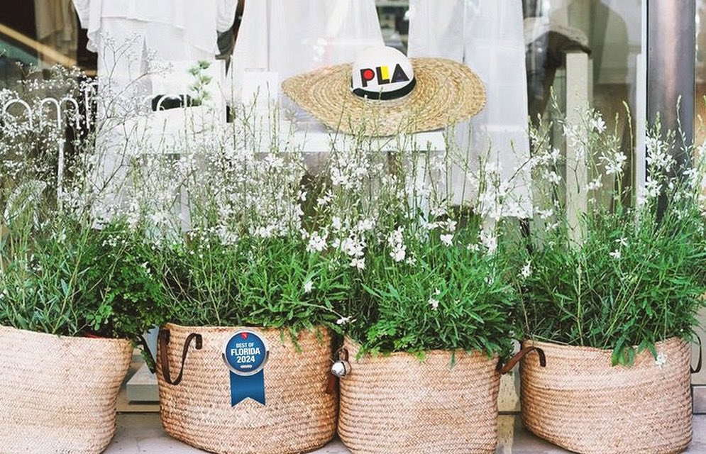 Primary Learners Academy (@placademy123) on Twitter photo š·#Spring is in full bloom! Itās the season for students to:
š± Grow
šæ Thrive
š¼ Reach new heights
<a href="/PLAcademy123/">Primary Learners Academy</a>, weāre here to support each learnerās unique interests, goals, & needsāfostering success and a lifelong love for learning.
<a href="/StepUp4Students/">Step Up For Students</a> #scholarships available! š·#Spring is in full bloom! Itās the season for students to:
š± Grow
šæ Thrive
š¼ Reach new heights
<a href="/PLAcademy123/">Primary Learners Academy</a>, weāre here to support each learnerās unique interests, goals, & needsāfostering success and a lifelong love for learning.
<a href="/StepUp4Students/">Step Up For Students</a> #scholarships available!