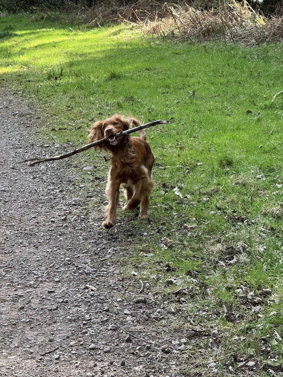 Andy Elliot tweet media