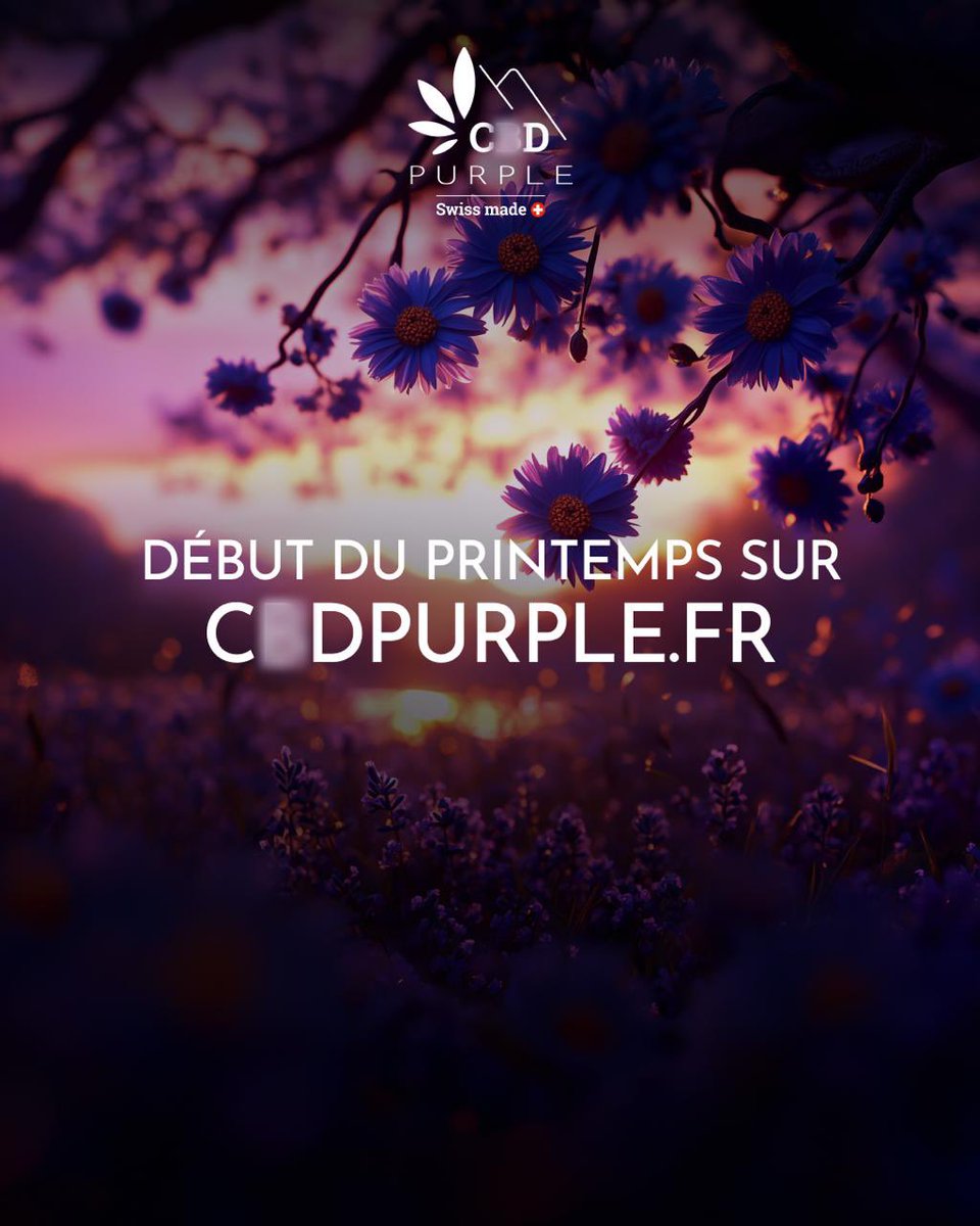 CBDPurple_'s tweet photo. 🌸💜 HELLO PRINTEMPS, HELLO PURPLE VIBES ! 💜🌸

Les jours s’allongent, les fleurs bourgeonnent… et les vibes chill sont plus que jamais au rendez-vous ! 🌸

👉 Découvre nos pépites sur https://t.co/za0VbYv93L et profite des beaux jours en toute sérénité !

#CBDPurple #ChillTime https://t.co/DTDL4XHu2X