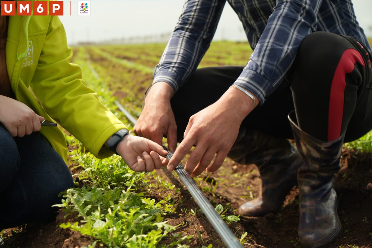 al_moutmir's tweet photo. 🌱 Al Moutmir: Committed to Sustainable Water Use in Agriculture 💧

Through science-based solutions, efficient irrigation, smart monitoring, and farmer capacity building, we support a more water-resilient agriculture. Together, we drive impact for a sustainable future. 🌍 https://t.co/a3K35wrCc5