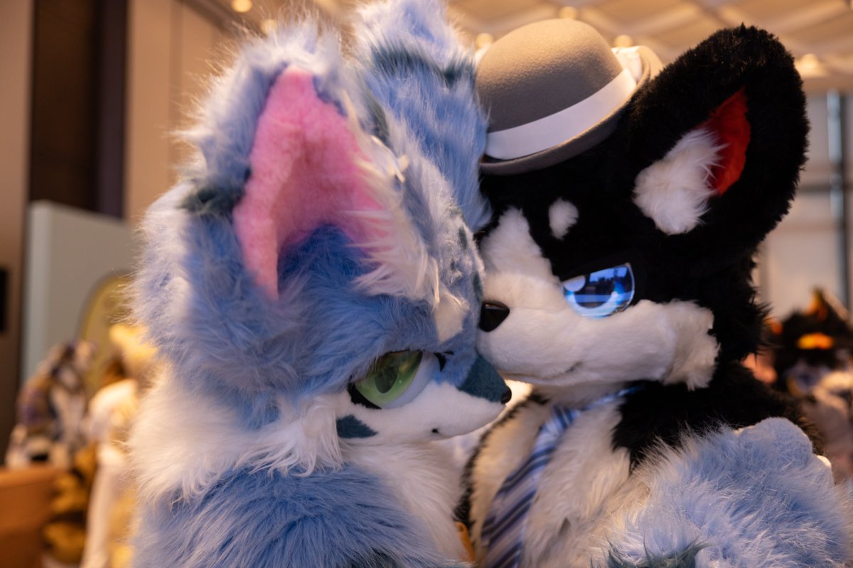 #FursuitFriday #万兽汇 
兄弟你好香啊～