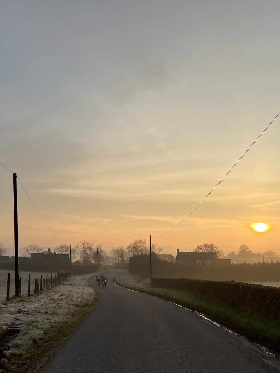 Peter Stewart tweet media