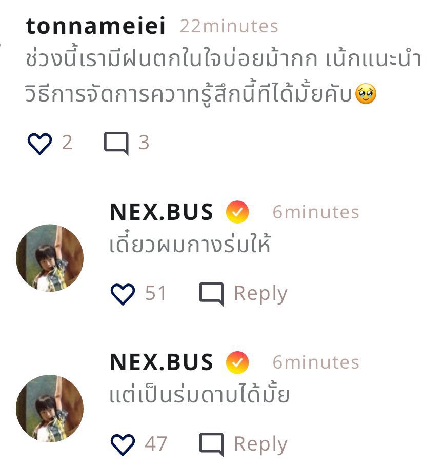 ᙏ̤̫ tweet media