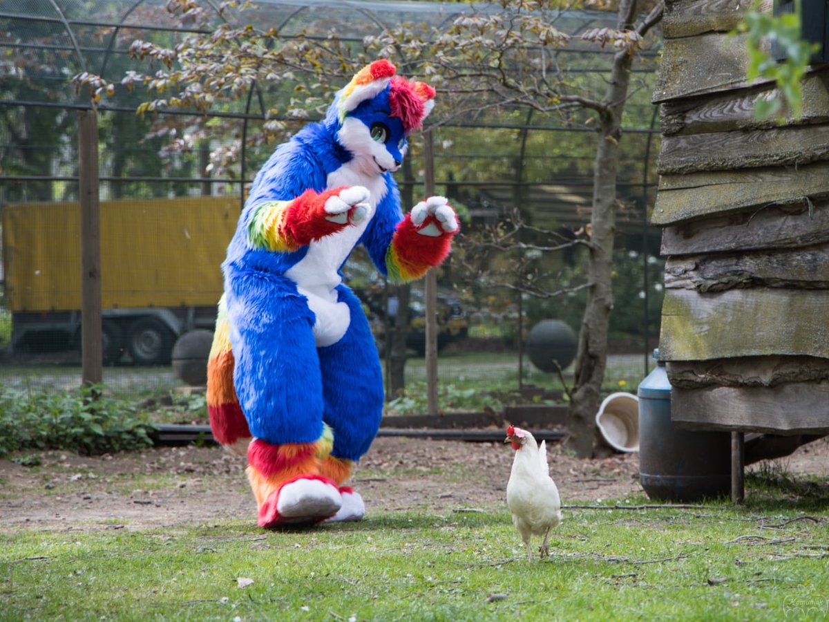 Tinka the Rainbow Fox (@tinkafur) on Twitter photo The grass was greener
The light was brighter
The taste was sweeter
...
#FursuitsFriday
πΈby <a href="/KamuBat/">Kamuniak π¦</a> π¦ The grass was greener
The light was brighter
The taste was sweeter
...
#FursuitsFriday
πΈby <a href="/KamuBat/">Kamuniak π¦</a> π¦