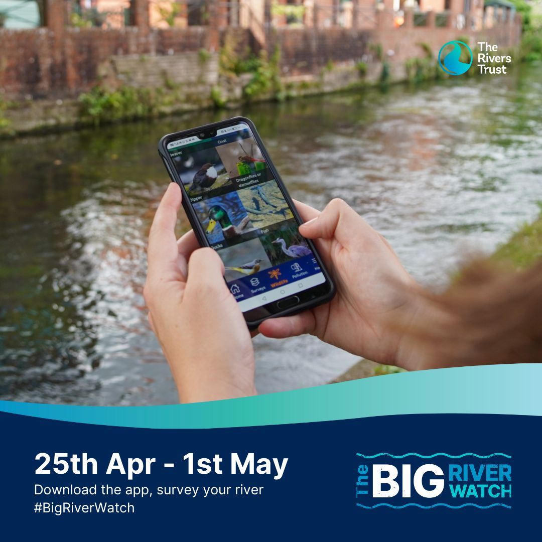 The Rivers Trust (@theriverstrust) on Twitter photo π’ Big River Watch is just over a month away!
The next #BigRiverWatch runs from 25th April β 1st May & taking part is easy:
1οΈβ£ Download the free app
2οΈβ£ Visit your local river stretch
3οΈβ£ Complete a short survey about what you see
Learn more π
theriverstrust.org/take-action/thβ¦ π’ Big River Watch is just over a month away!
The next #BigRiverWatch runs from 25th April β 1st May & taking part is easy:
1οΈβ£ Download the free app
2οΈβ£ Visit your local river stretch
3οΈβ£ Complete a short survey about what you see
Learn more π
theriverstrust.org/take-action/thβ¦