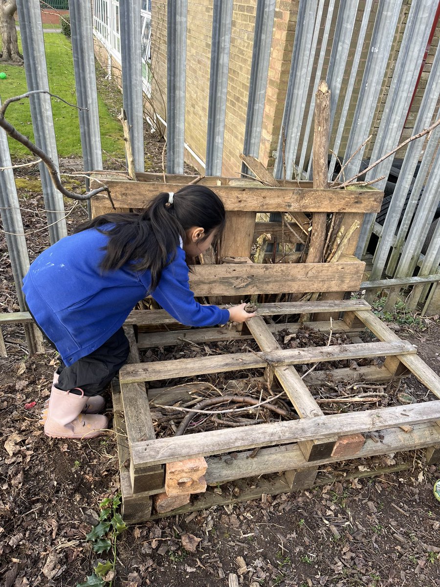Samantha Hudson (@lfp_mrsh) on Twitter photo A stunning afternoon for forest school! The children were busy collecting sticks, leaves, and stones to build our mini-beast hotel. We also had time to explore and enjoy the great outdoors! #ForestSchool <a href="/LFPAPjhast/">Mr J Hastings</a> <a href="/LLF_DHT/">Mr. White DHT ๏ฃฟ</a> <a href="/lea_forest_curr/">Lea Forest Primary Academy - Curriculum</a> @HT_LFP <a href="/LFP_MCollis/">Miss Collis</a> <a href="/LLF_Dep/">Miss Francois</a> A stunning afternoon for forest school! The children were busy collecting sticks, leaves, and stones to build our mini-beast hotel. We also had time to explore and enjoy the great outdoors! #ForestSchool <a href="/LFPAPjhast/">Mr J Hastings</a> <a href="/LLF_DHT/">Mr. White DHT ๏ฃฟ</a> <a href="/lea_forest_curr/">Lea Forest Primary Academy - Curriculum</a> @HT_LFP <a href="/LFP_MCollis/">Miss Collis</a> <a href="/LLF_Dep/">Miss Francois</a>