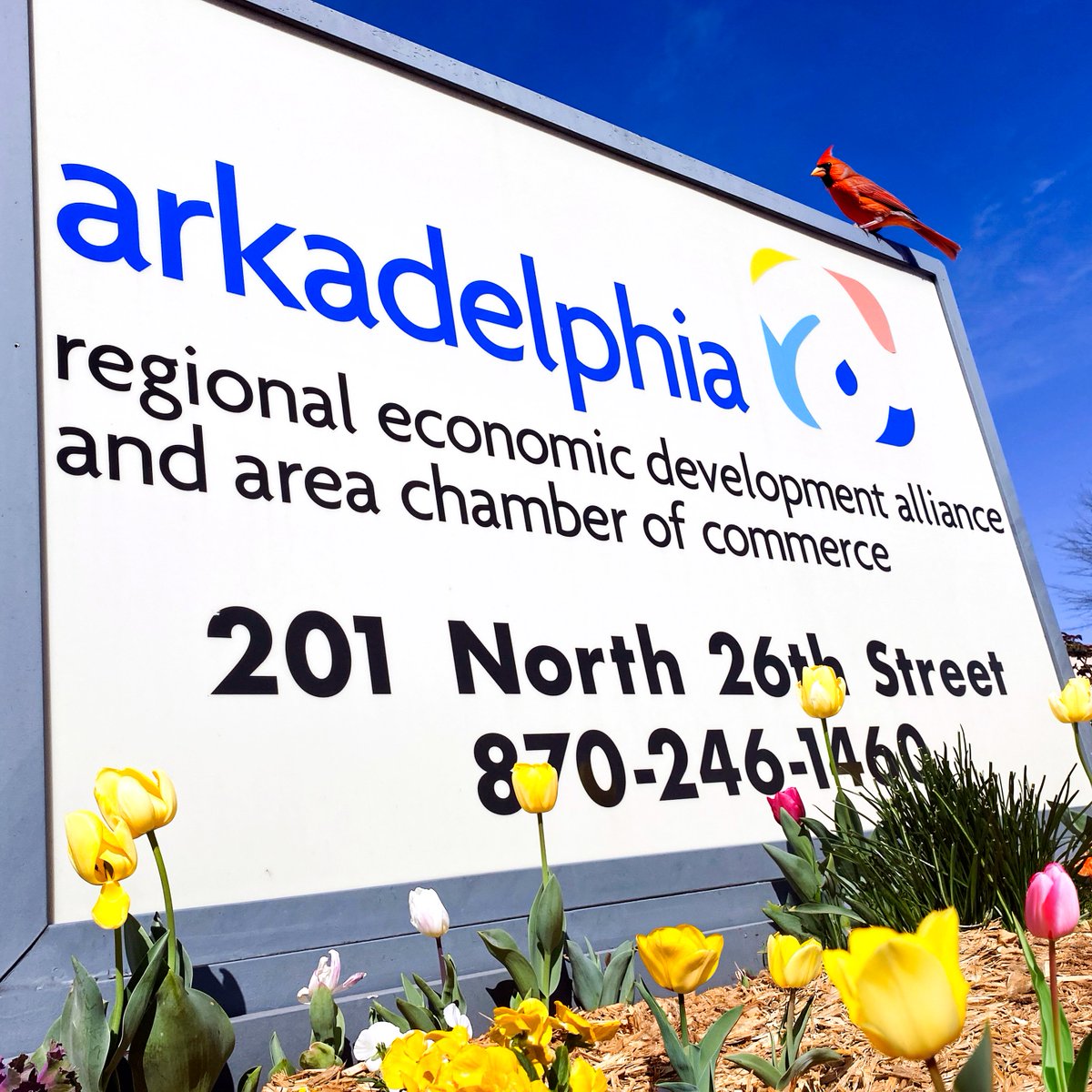 Arkadelphia Alliance and Chamber tweet media