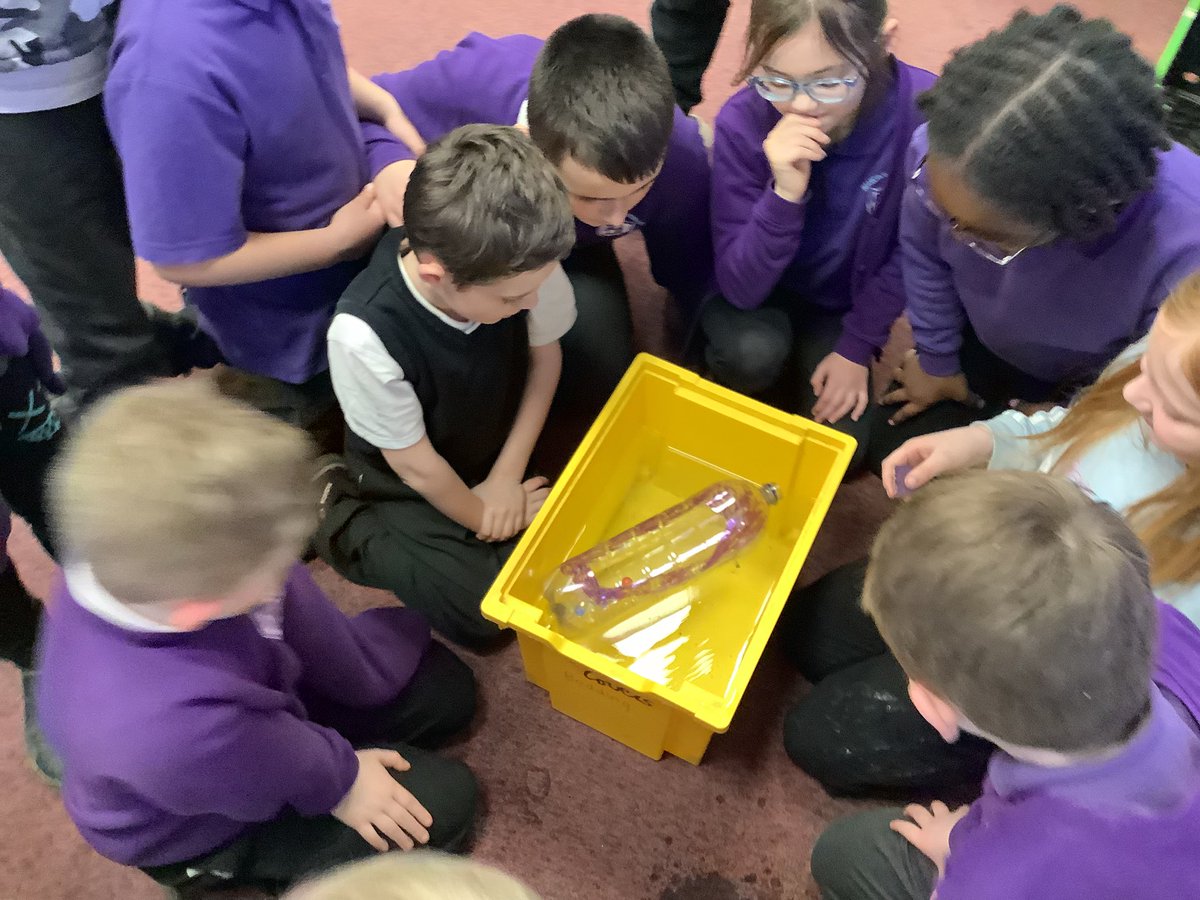 Mrs Lang tweet media