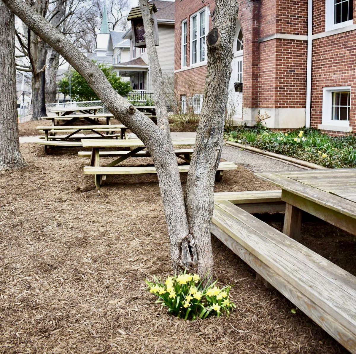 “Spring has returned. The earth is like a child that knows poems by heart.” ~Rainer Maria Rilke. Happy #FirstDayOfSpring from <a href="/MontessoriWV/">MountaineerMontessor</a>!  🌼  🌼  🌼