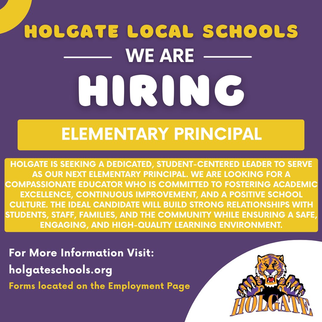 HolgateSchools's tweet image. 