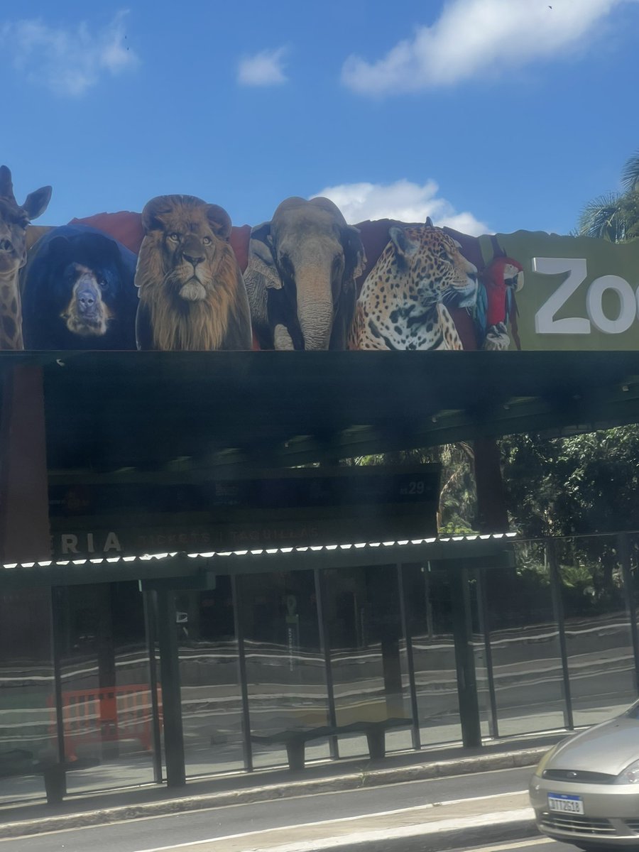 HACKEEAND's tweet photo. Os bichos não estão nessa qualidade da foto! Mais parece um sofrimento eterno! O elefante tadinho , sempre andando em círculo de cabeça baixa e de baixo de sol quente . Que tristeza meu Deus 
@zoosaopaulo https://t.co/nSAwI5sa8o