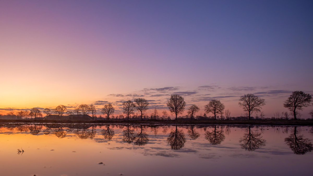 E_van_den_Ham's tweet photo. Nog een flinke week en dan hoef je niet meer zo vroeg op pad voor en foto als deze (6.23 am).
Dit enorme meer is 'slechts' een flinke plas op een akker.
Door er met de groothoek vlak boven te hangen krijg je dit effect.
#Wapse https://t.co/i98fQGJyGI