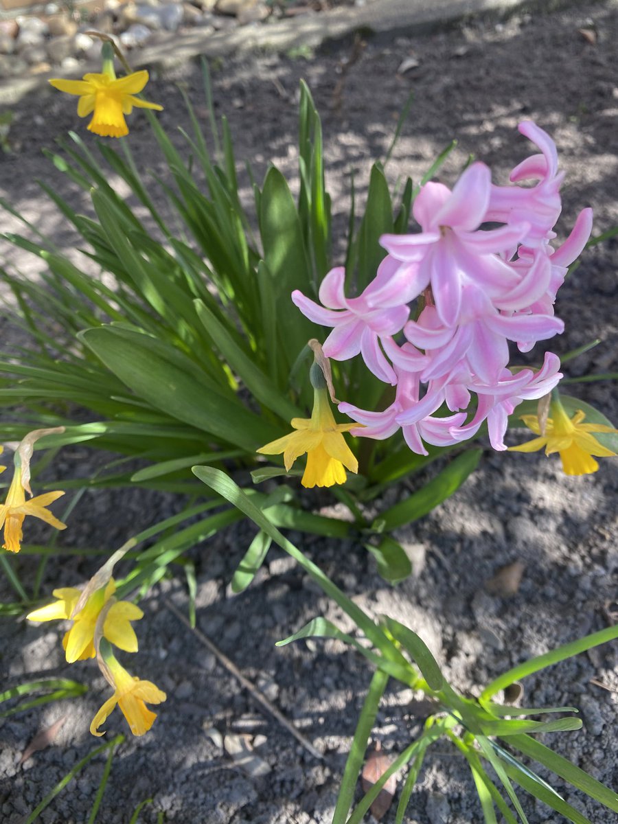 New citizenship status, new city, new institution, new position, new office, new JD, new friends, new accommodation… this month is full of newness for me. It will take me a little while to settle in, BUT heh, the newness is all answered prayer! Thanks for praying with me &amp; mine.