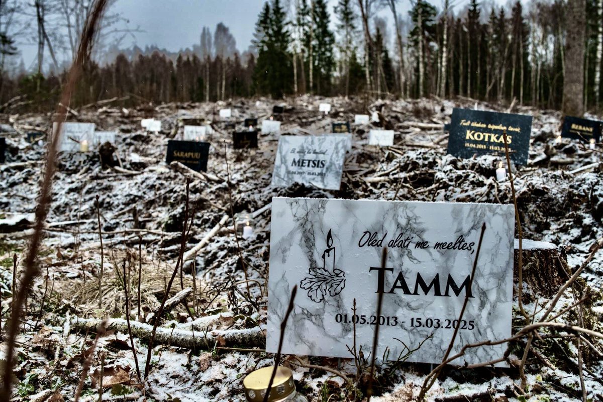 Houtkap heeft zijn sporen achtergelaten op honderdduizenden hectares van wat ooit een #bosecosysteem was. Om deze pijnlijke realiteit te benadrukken, werden deze maand grafstenen geplaatst op een open plek in Noord-Estland.

De namen op de grafstenen hebben familienamen die ook