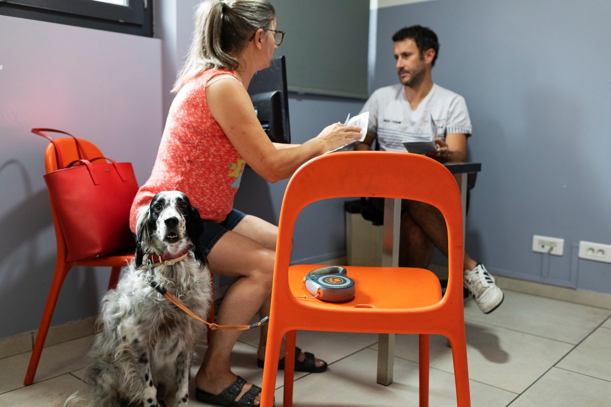 Parasites are preventable—but only if we take action. 🚨🐕

Too many pets suffer from preventable parasites simply because of lack of awareness.

Speak with a veterinarian to understand how to best protect your pet! #ParasiteAwarenessDay