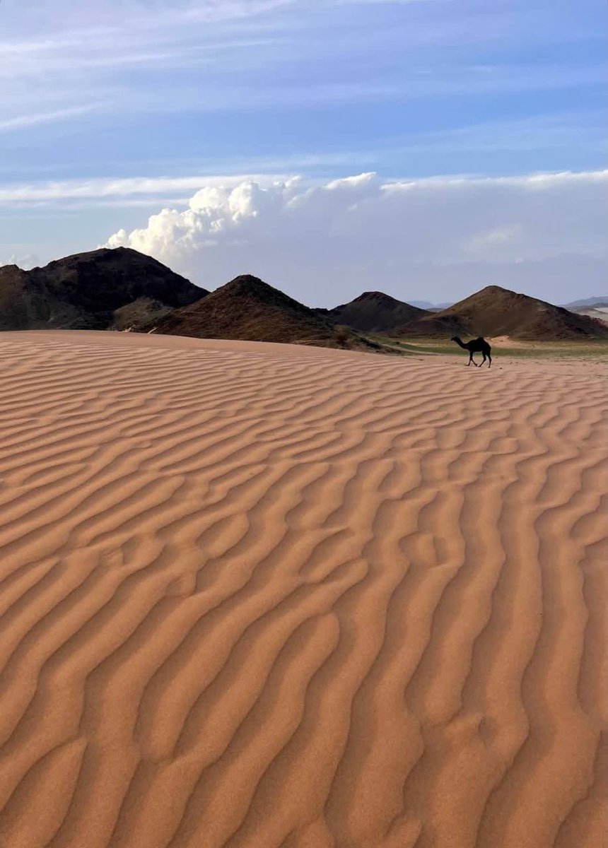 wwwwewwwe0's tweet image. 