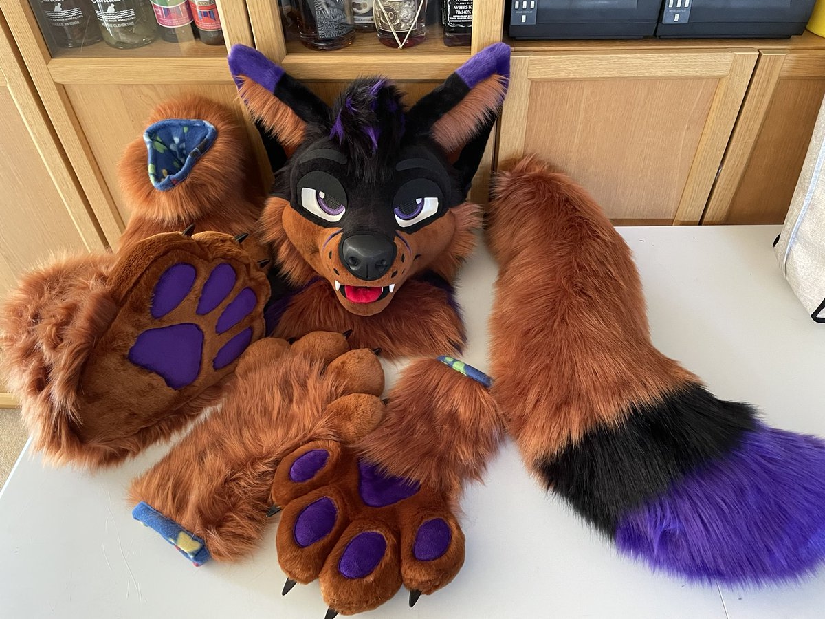 Finished suit for <a href="/TwiceSoul_Folf/">Twice</a>