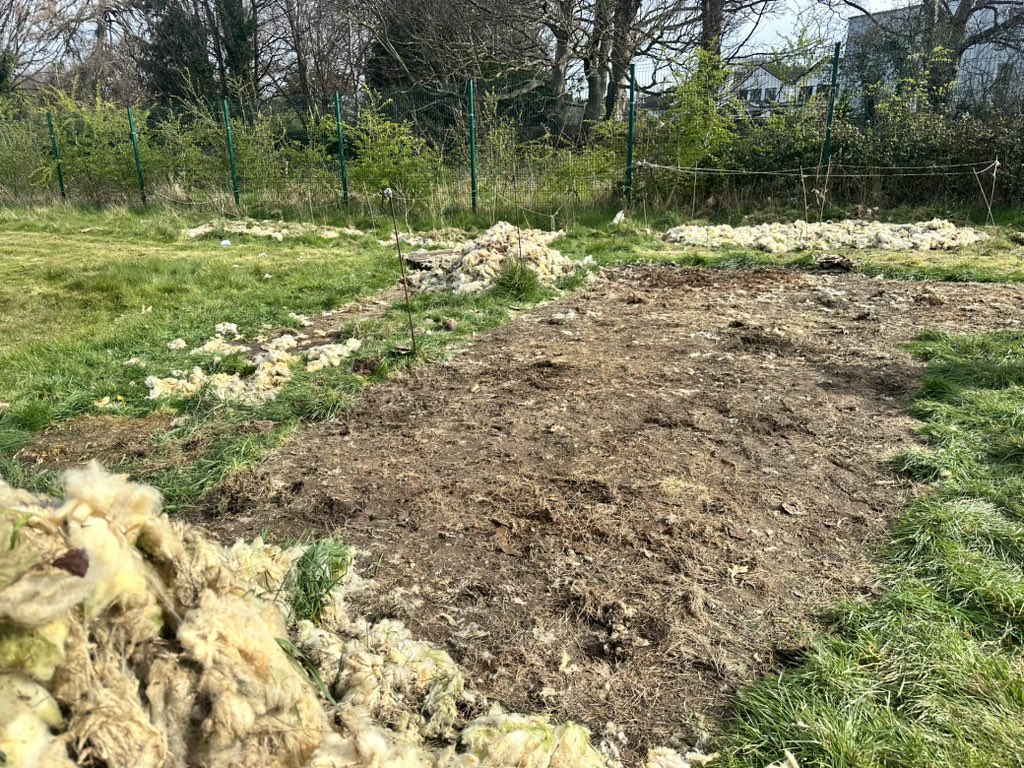 EArchaeol's tweet image. Fantastic day here at the centre! Our MSc students are working on excavations and our 1st year students are helping with the setting of our fiber and dye garden!