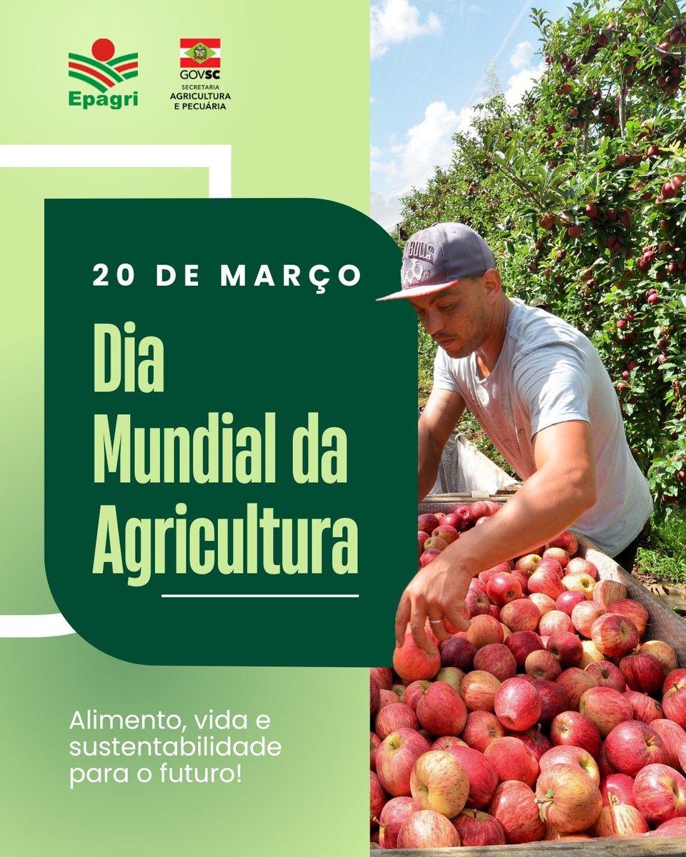 💚Já parou para pensar que a agricultura é o nosso combustível para acordar todos os dias e VIVER?

🍎🌽Hoje é dia da atividade que alimenta o mundo - e tudo o que ele produz!

👉👉Deixe nos comentários seu 💚 pela agricultura!
 
#agriculturasustentável #agro #agricultura