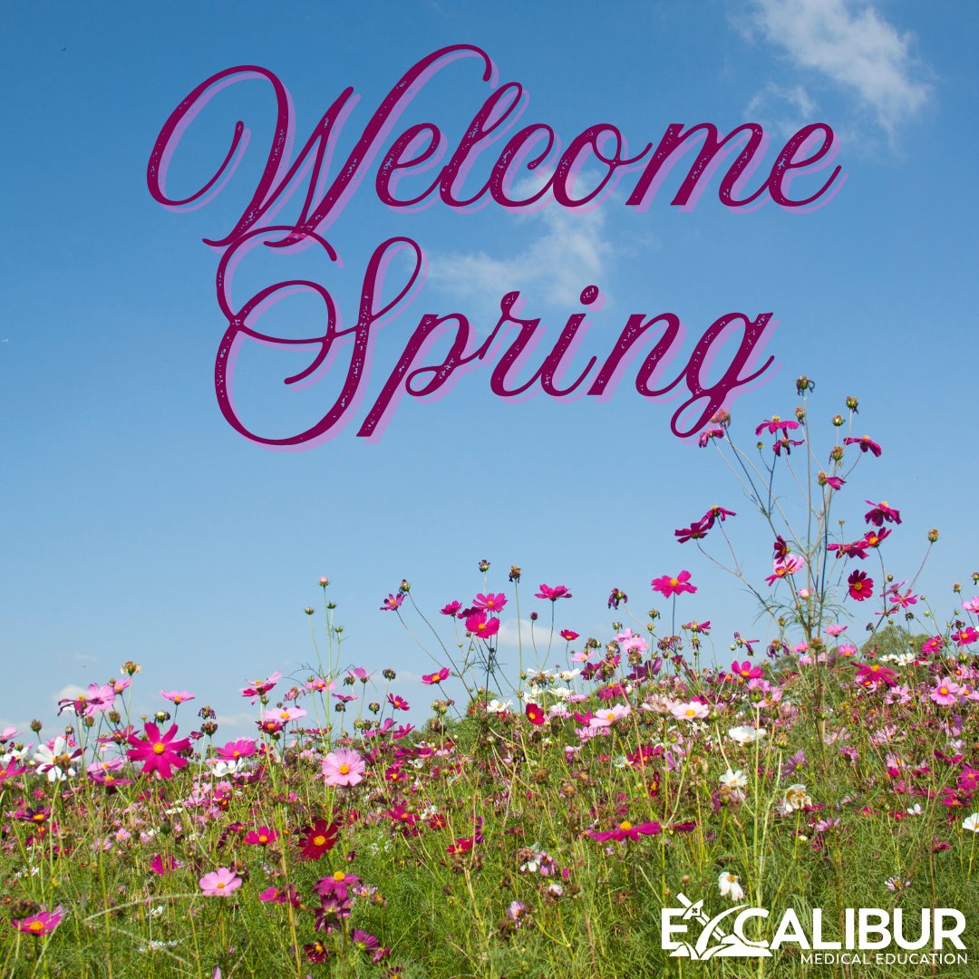🌸🌞Time to soak up the sunshine &amp; pretend we don’t still need a jacket in the morning. 😆🌷

What’s your favorite thing about spring? The flowers? Extra daylight? Eating ice cream outside?🍦Let us know in the comments!

#HelloSpring #SpringVibes #SunshineAndSmiles #GoodbyeWinter