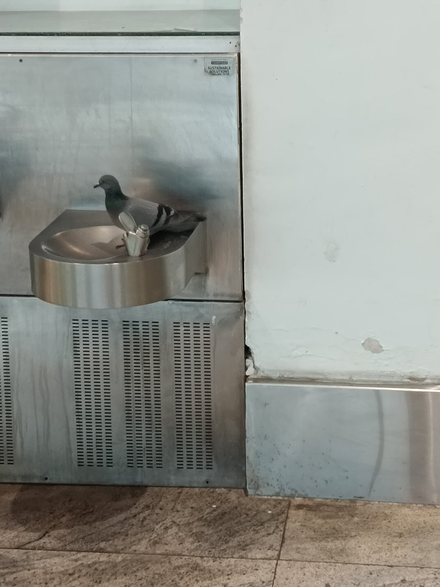chiicckklluu's tweet photo. Welcome to Dehradun's only airport,Jolly grant airport .It's called drinking water here..@AAI_Official , @DGCAIndia @PMOIndia ..@MNCDFbombay @htTweets https://t.co/Fb5vehvnTx