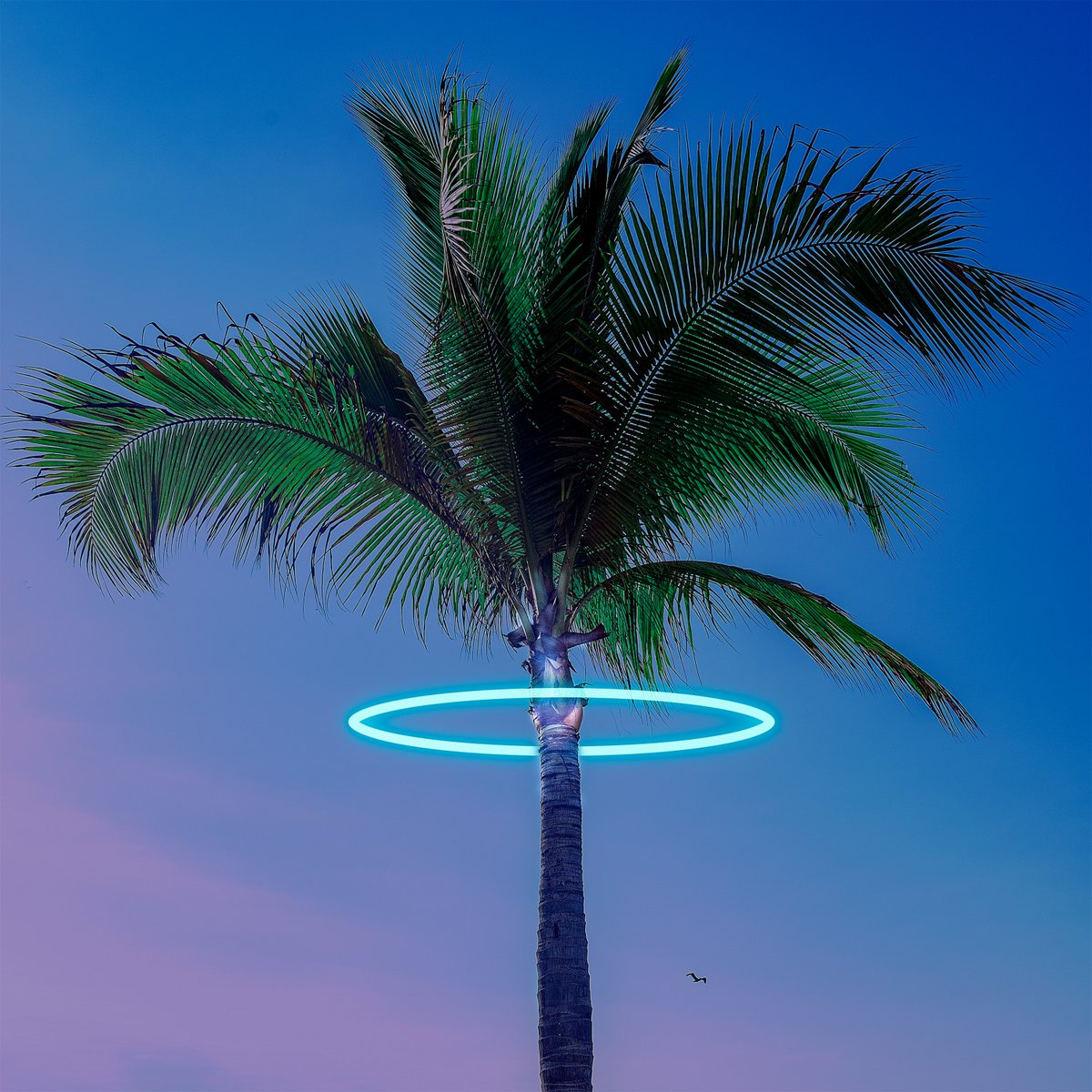 N43 Records tweet media