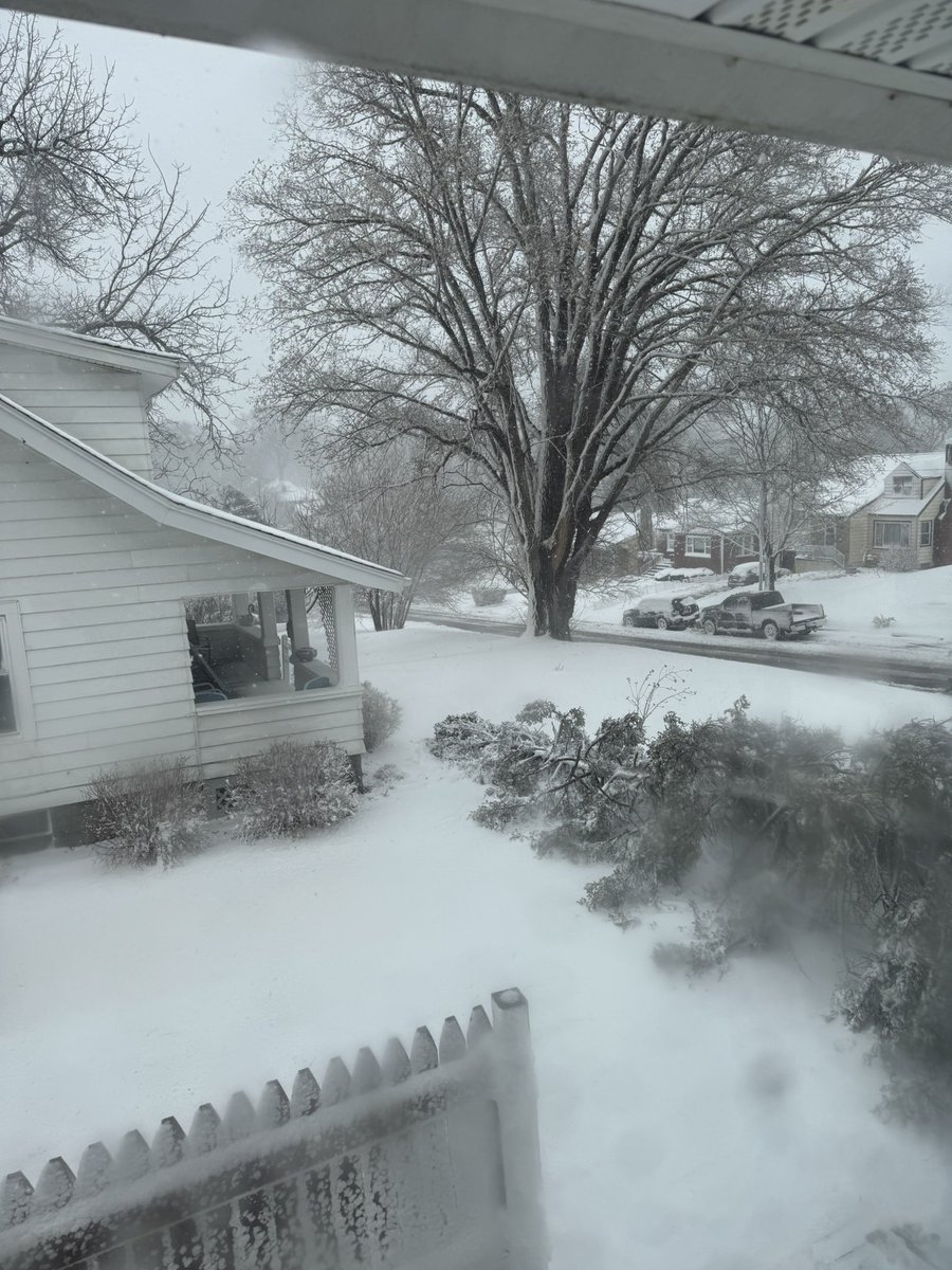 heatherchillin's tweet photo. @omaha_scanner uprooted our tree that’s now blocking our sharing driveway at 50th and pratt 🙃 https://t.co/y0UAnTYc60