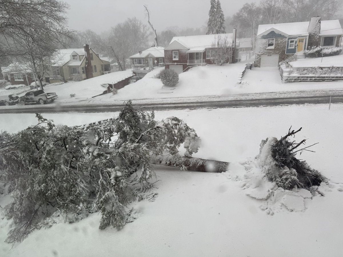 heatherchillin's tweet photo. @omaha_scanner uprooted our tree that’s now blocking our sharing driveway at 50th and pratt 🙃 https://t.co/y0UAnTYc60